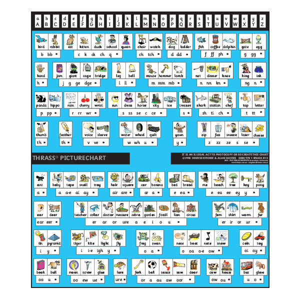 T-102 Picturechart (Class Size)