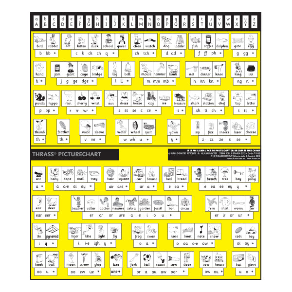 T-102 Picturechart (Class Size)