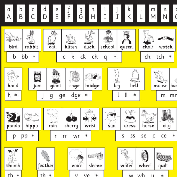 T-102 Picturechart (Class Size)