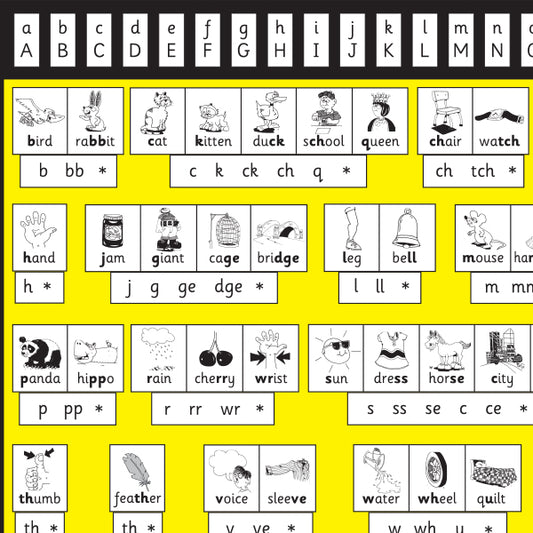 T-102 Picturechart (Class Size)